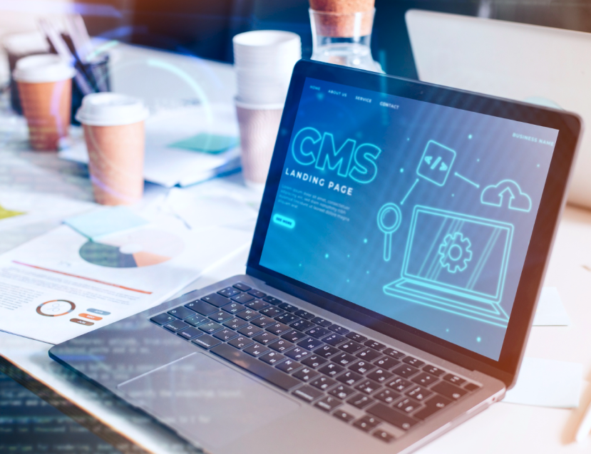 Content Management System (CMS)